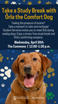 Take a Study Break with Orla the Comfort Dog by Notre Dame Law School